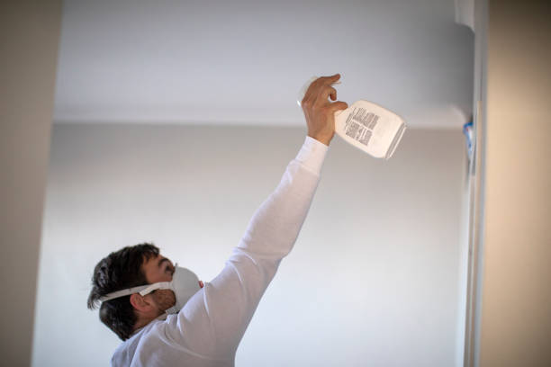 Best DIY Mold Remediation Support Services in Wolf Lake, MI