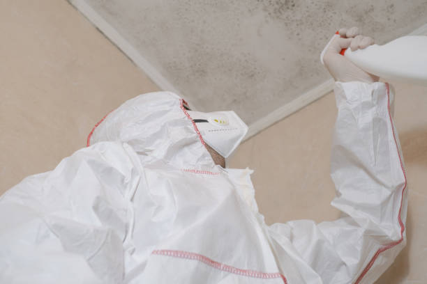 Best Health and Safety Mold Remediation in Wolf Lake, MI